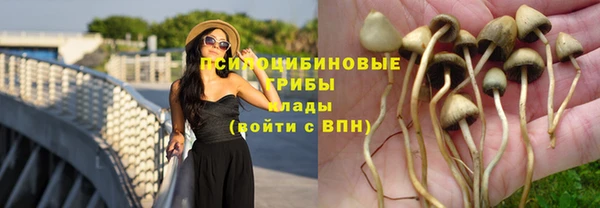 эйфоретик Осинники