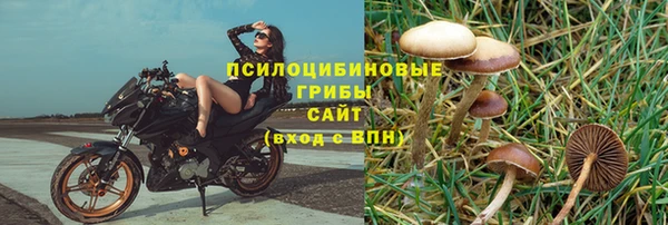 эйфоретик Осинники